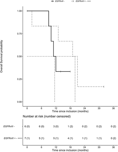 Figure 2. Kaplan-Meier analysis of overall survival split by EGFRvIII amplification status (present or absent). Median overall survival of both groups is presented by the dotted line