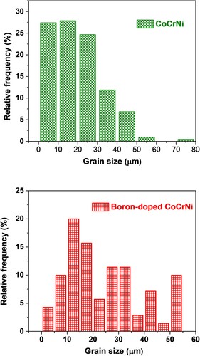 Figure A2. The detailed grain size distribution of the boron-doped and undoped CrCoNi alloys.