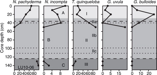 Fig. 7  Relative abundances of planktic foraminifera in core LU10-06 (percentages of the total planktic fauna). Assemblage Zones A, B and C (shades of grey), Lithological Units I, II and III (dashed lines) and Lithological Subunits IIa, IIb and IIc (dotted lines) are marked.