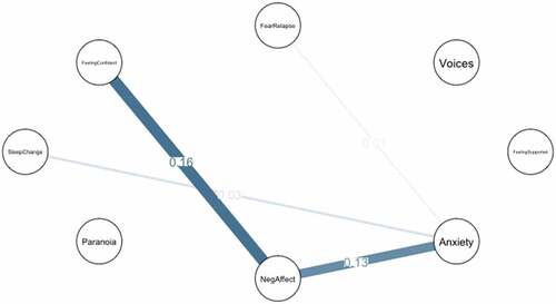 Figure 5. Contemporaneous network of the same participant over the whole time period.