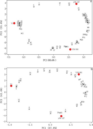 Figure 1. Bi-plots of principal component analysis of mulberry wines fermented with different Saccharomyces cerevisiae strains. a: data in Tables 1, 3 and 4 about oenological, phenolic and amino acid profile were analyzed; b: data in Table 5 about volatile profile were analyzed. Numbers in Fig. 1a were referred in Tables 1, 3 and 4, while numbers in Fig. 1b were referred in Table 5.