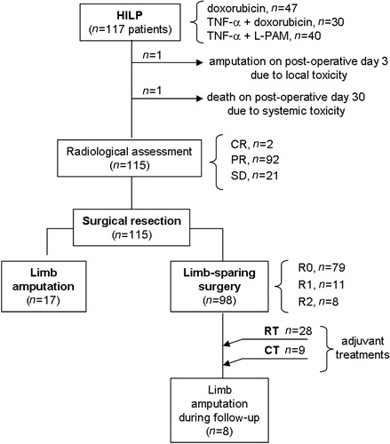 Figure 1. Flow chart of patient outcome. CR, complete response; CT, chemotherapy; HILP, hyperthermic isolated limb perfusion; L-PAM, melphalan; PR, partial response; R0, R1, R2, radicality of resection; RT, radiotherapy; SD, stable disease.