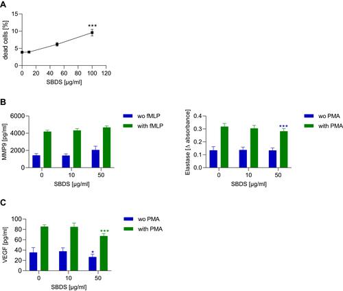 Figure 1 SBDS actions on viability and effector functions of primary neutrophils. (A) Primary neutrophils were treated for 24 h with SBDS at the indicated concentrations. The quantity of dead cells (Annexin V+ and 7-AAD+) was related to that of all cells. The flow cytometry data were analyzed by FlowJo 10.1 Software. (B and C). For MMP9 and VEGF release, primary neutrophils were preincubated for 30 min with SBDS at the indicated concentrations and stimulated with 1 µM fMLP, 50 ng/mL PMA or kept untreated for 20 min or 2h, respectively. For elastase release, neutrophils were preincubated with SBDS at the indicated concentration for 30 min and stimulated with 50 ng/mL PMA for 20h. The experiments were performed in three biological and technical replicates. One way ANOVA with Dunnett`s multiple comparisons test was used to assess statistical significance of differences. *p<0.05, ***p<0.001 indicate significant difference between treated samples and vehicle treated sample (0 µg/mL).