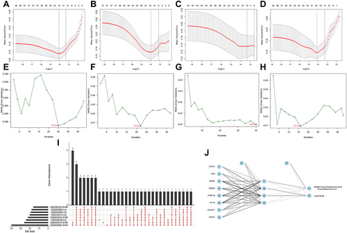 Figure 3 Identification of prognosis-related ARGs (sepsis-specific ARGs) and construction of a ARG classifier based on machine learning algorithms (including Lasso, SVM, ANN). (A–D) Modified Lasso was used to identify candidate ARGs with 10-fold cross-validation in multi-transcriptome datasets. The Y-axis shows mean-square error and the X-axis is Log (λ). Dotted vertical lines represent minimum and 1 standard error values of λ. The genes selected at minimum standard error values of λ were finally used for further analysis. (A) GSE54514 datasets (N=20); (B) GSE63042 datasets (N=18); (C) GSE65682 datasets (N=12); (D) GSE95233 datasets (N=24). (E–H) Modified Lasso was used to identify candidate ARGs with 10-fold cross-validation in multi-transcriptome datasets. SVM algorithm was applied to screen candidate ARGs. The red dots indicated the lowest error rate and the highest precision when genes are this number. (E) GSE54514 datasets (N=25); (F) GSE63042 datasets (N=22); (G) GSE65682 datasets (N=40); (H) GSE95233 datasets (N=16). (I) An UpSet diagram exhibited the interactions result of Lasso and SVM in multi-transcriptome datasets. (J) The visualization of artificial neural network (ANN). The neural network contains 8 input layers, 4 hidden layers, and 2 output layers.