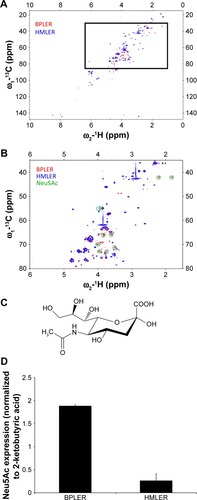 Figure 1 Neu5A is increased in BPLER.