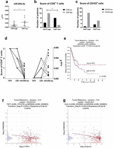 Figure 8. Inverse correlation of miR-200a-5p expression with TAP1 levels and survival probability in melanoma patients.