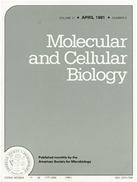 Cover image for Molecular and Cellular Biology, Volume 11, Issue 4, 1991