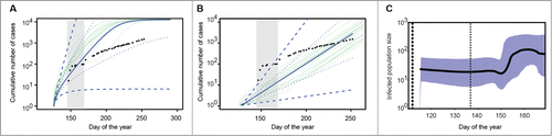 Figure 1. (A) Epidemiological predictions for cumulative number of cases in Sierra Leone based on the SIR birth-death (BD) model for the phylogenetic tree prior. The gray region indicates the time during which sequences were collected (from day 147 – 169) and the black dots are the actual cumulative number of cases reported through Sept 10 (Day 253). Light green lines show the trajectories of stochastic model simulations, and the solid dark blue line indicates the deterministic solution (with the dashed dark blue lines indicating 95% confidence intervals and the dotted blue lines the 50% confidence intervals). (B) The same comparison as in panel A, but using the coalescent model with exponential growth (EXP) for the phylogenetic tree prior. (C) Bayesian Skyline skyline with 95% HPD inferred using the BS coalescent model for the phylogenetic tree prior.
