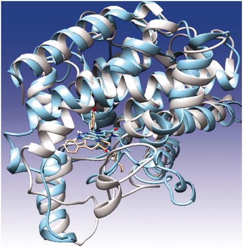 Figure 10. Overlay of docking pose (blue) and representative structure of ZINC02120502 (white) in the catalytic pocket of PDE11.