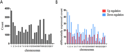 Figure 3 Chromosomal distribution of circRNAs in exosomes. (A) Chromosomal distribution of all circRNAs. (B) Chromosomal distribution of differentially expressed circRNAs.