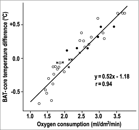 Figure 7. The BAT-blood temperature difference correlates with total body oxygen consumption. The graph combines experiments in unanesthetized rats exposed to 20°C (closed circles), with those exposed to one of 25 other ambient temperatures (open circles), with those exposed to 30°C and injected with an endotoxin that causes fever (crosses). Replotted from data reported in ref. [Citation49].