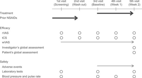 Figure 1 Study schedule.