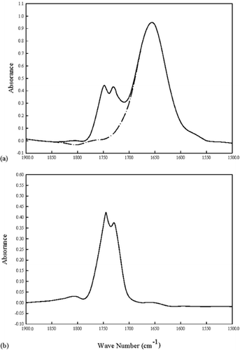 Figure 6. An example ‘normalization’ process for obtaining the corrected peak height at 1748 cm−1 of a reduced-fat mayonnaise sample. (a) Matching the height of the water peak with a superimposed, water-only spectrum at 1650 cm−1 (— the original spectrum; ---- the water-only peak); (b) The corrected peak after subtracting the water-only peak from the original spectrum.