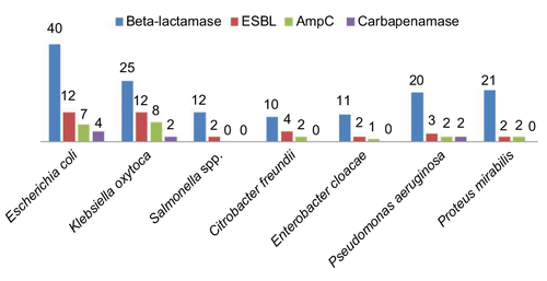 Figure 2 Comparative distribution of beta-lactamase, ESBL, AmpC and carbapenamase types among the multi-antibiotics resistant isolates.