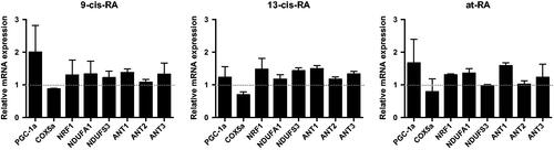 Figure 7. The mRNA expression of PGC-1a and NEMGs treated with RAs for 3 days. The mRNA level were measured by real-time PCR, GAPDH was measured as a loading control. The relative expression level of PGC-1a and NEMGs after 3 days treatment of 9-cis-RA, 13-cis-RA and at-RA were calculated respectively by means of the △△CT method, upon normalization to the DMSO-treated control group. Data were expressed as the mean ± SEM.