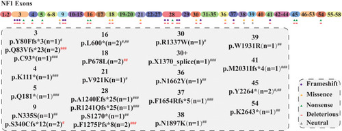 Figure 2 The mutation loci and subtypes within the NF1 gene and their corresponding pathogenicity in GISTs.