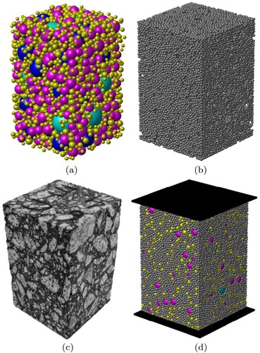Figure 8. Asphalt mixture sample: (a) coarse aggregates, (b) asphalt mastic, (c) experimental sample, and (d) virtual sample.