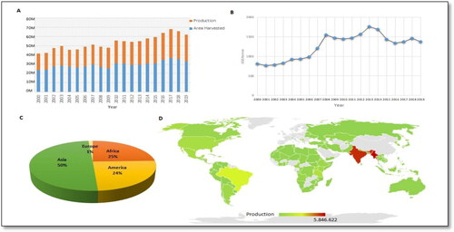 Figure 1. Common bean production in the world. (A) Evolution of common bean seed production and area under cultivation from 2000 to 2019. (B) Evolution of sale prices of common bean seed from 2000 to 2019. (C) Production share of common bean seed by continent in 2019. (D) Map of production quantities of common bean seed by country in 2019 (Source: Food and Agriculture Organization Statistical Databases was used to develop this figure (FAOSTAT) 2020).