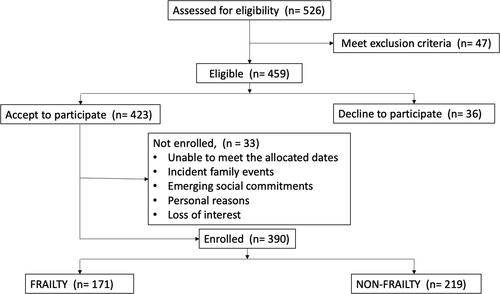 Figure 1. Flowchart of 390 postmenopausal women with and without frailty.