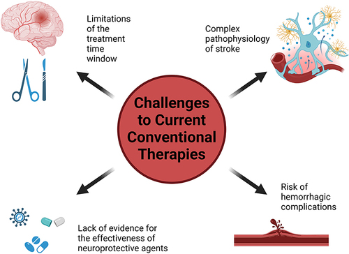 Figure 3 The challenges to current conventional therapies in stroke. Created with BioRender.com.