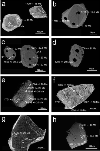 Figure 5 BSE images of representative monazites from each sample analysed. (a) Mt Furner 1. (b) Manya 4. (c) Lake Maurice East 1: gr 1, resorption textures; gr 2, concentric zoning. (d) Lake Maurice East 1, resorption textures (e) Ooldea 2. (f) AM/PB 3, monazite with ca 1555 Ma rim. (g) AM/PB 3, monazite with inconsistent BSE zoning and ages. (h) AM/PB 1, monazite from garnet separate with two growth zones evident, highlighted by dashed white line.
