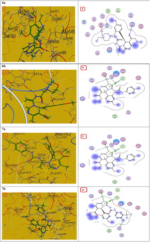 Figure 13. The (a) 3D and (b) 2D interaction mode of compounds 6a, 6b and 7a, 7b within topoisomerase II binding pocket. The pink dot arrow represents H-bonds and brown dot arrow represents H-π interaction.