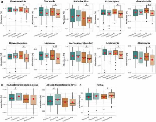 Figure 4. Boxplots of the bacterial genera whose relative abundance (%) showed significant differences throughout the treatment in either of the two groups assessed (Wilcoxon signed-rank test for paired data; p < 0.05). *, p-value < 0.05; **, p-value < 0.01; *** p-value < 0.001. Bacteria have been classified according to the dynamics of their relative abundance after treatment. A, bacteria that display a decrease in relative abundance in the mouthwash-treated group; B, bacteria that display an increase in relative abundance in the placebo-treated group; C, bacteria that display an increase in abundance in the group treated with the mouthwash.