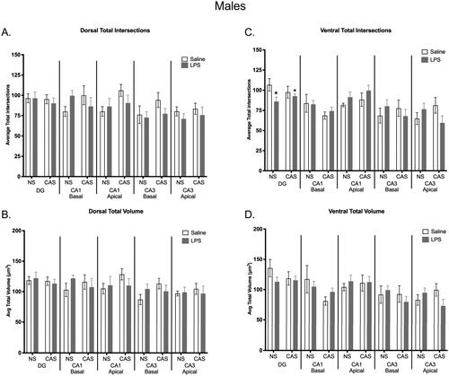 Figure 9. There was no effect of chronic adolescent stress or repeated LPS on microglia total process intersections within the dorsal hippocampus in males (a). There were no group differences observed in total microglia volume in the dorsal (B) or ventral (D) portions of the hippocampus within males. Within the ventral DG region, repeated LPS exposure lowered average total intersections regardless on stress history (C). *p < 0.05. Bars represent mean ± SEM.