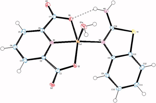 Figure 3. An ORTEP drawing of asymmetric unit of 5 with the atom-numbering scheme. Displacement ellipsoids are drawn at the 40% probability level.