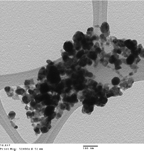 Figure 3. TEM images of the synthesized Ag NPs.