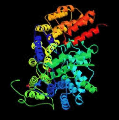Figure 2 Farnesyltransferase enzyme complexed with farnesyldiphosphate (PDB code: 1FPP).