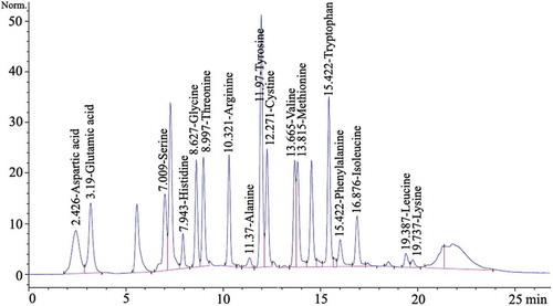 FIGURE 1 HPLC chromatographic fingerprints of authentic amino acid (0.25 µM mL–1). HPLC peaks: Aspartic acid (2.426 min), Glutamic acid (3.190 min), Serine (7.009 min), Histidine (7.944 min), Glycine (8.627 min), Threonine (8.997 min), Arginine (10.321 min), Alanine (11.370 min), Tyrosine (11.970 min), Cystine (12.271 min), Valine (13.665 min), Methionine (13.815 min), Tryptophan (15.422 min), Phenylalanine (15.422 min), Isoleucine (16.876 min), Leucine (19.387 min), Lysine (19.737 min).