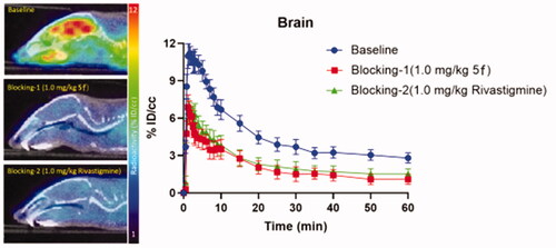 Figure 11. PET/CT (baseline and blocking) images in mice brain (20‒60 min) with [11C]5f after intravenous administration (i.v.) and time-activity curve of the whole brain (n = 4).