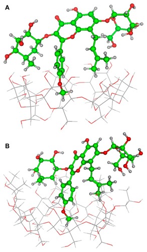 Figure 10 Optimized inclusion structures of (A) the icariin/β-CD inclusion complex and (B) the icariin/HP-β-CD inclusion complex.Abbreviations: β-CD, beta-cyclodextrin; HP-β-CD, hydroxypropyl-beta-cyclodextrin.