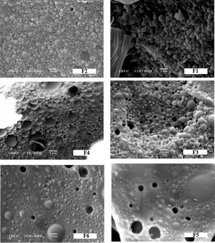 Figure 1 SEM micrographs of 5-FU loaded nanoparticles.Notes: F1 (composed of 1:5:0, drug:PLGA:PEG6000), F2 (composed of 1:5:0, drug:PCL:PEG6000), F3 (composed of 1:5:1, drug:PCL:PEG6000), F4 (composed of 1:20:15, drug:PCL:PEG6000), F5 (composed of 1:5:1, drug:PLGA:PEG6000), and F6 (composed of 1:20:15, drug:PLGA:PEG6000).