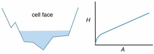 Figure 2. Cell face terrain data (left) and schematic representation of A – H (area–elevation) relationship reproduced with the property table (right)(adapted from Brunner Citation2016).