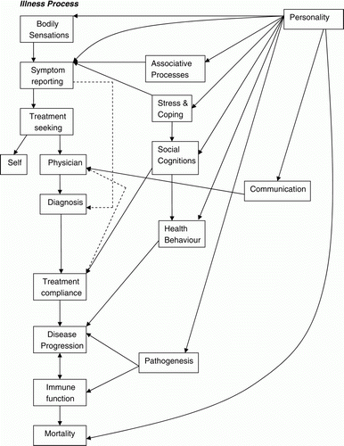 Figure 1.  Illness process: personality and mechanisms.