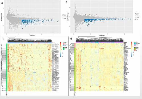 Figure 2. Identification of the DElncRNAs and DEmRNAs between the FAT2-mutant and FAT2-wildtype groups. (a) Volcano plot for DElncRNAs. (b) Volcano plot for DEmRNAs. (c) Heatmaps for the DElncRNAs. (d) Heatmaps for the DEmRNAs