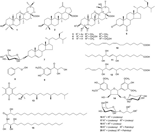 Figure 1. Chemical structures of isolated compounds (1–20): oleanolic acid (1), betulinic acid (2), pomolic acid 3β-acetate (3), rotungenic acid (4), rotundic acid (5), stigmast-4-ene-3,6-dione (6), daucosterol (7), benzyl hydroperoxide (8), 2,3-dihydroxy-1-(4-hydroxy-3-methoxyphenyl)-propan-1-one (9), octadeca-9Z,12Z-dienoic acid (10), 9,12,13-trihydroxyoctadeca-10E-enoic acid (11), 9,12,13-trihydroxyoctadeca-10E,15Z-dienoic acid (12), α-tocopherolquinone (13), (7S*,8R*,7′R*,8′S*)-icariol A2-9-O-β-xylopyranoside (14), (2S,3S,4R,2′R)-2-(2′-hydroxytetracosanoylamino)octadecane-1,3,4-triol (15), (2S)-1-O-linolenoyl-2-O-linolenoyl-3-O-β-d-galactopyranosyl-sn-glycerol (16), (2S)-1-O-linolenoyl-2-O-linoleoyl-3-O-β-d-galactopyranosyl-sn-glycerol (17), (2S)-1-O-linoleoyl-2-O-linoleoyl-3-O-β-d-galactopyranosyl-sn-glycerol (18), (2S)-1-O-linolenoyl-2-O-palmitoyl-3-O-β-d-galactopyranosyl-sn-glycerol (19), and (2S)-1-O-linoleoyl-2-O-palmitoyl-3-O-β-d-galactopyranosyl-sn-glycerol (20).