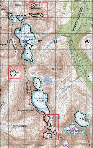 Figure 4. Part of a Norwegian Mapping Authority 1:50,000 topographic map (map sheet: 1634 II) showing the digitized 1953 glacier outlines (turquoise) in the Rotsund Valley (yellow box in Figure 1). The 2001 Andreassen, Winsvold, et al. (Citation2012) glacier outlines (black) are overlaid, with IDs shown. The red boxes highlight seven glaciers in this area that were not included on the 1953 topographic map. The two purple outlines are snow patches mapped in Andreassen, Winsvold, et al. (Citation2012), one of which was initially mapped as a glacier on the 1953 map. Glaciers 115, 117, 121, and 123 are seen in Figure 3. For scale, grid squares are 1 × 1 km