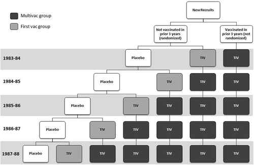 Figure 2. Allocation into placebo and intervention arms for five year clinical trial of repeated vaccination (from reference [Citation9]); TIV = trivalent inactivated whole virus vaccine.