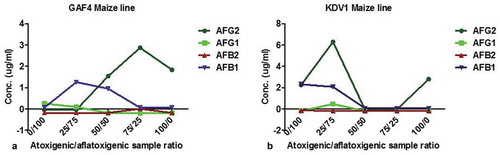 Figure 7. Analysis of high-performance liquid chromatography highlighting biocontrol strategy exhibited when two maize lines (KDV1 and GAF4) were co-infected with non-toxin producing (KSM012) and toxin-producing (KSM014) strains of Aspergillus flavus. At co-infection ratio (a) indicated by red arrow: 50:50; aflatoxin AFG2, AFB1 and at 75:25; AFG2 were detected whereas AFG1, AFB1 and AFB2 were not detected for GAF4 maize line respectively); (b) at 50:50 and 75:25) there was significant decrease in presence of both aflatoxins or no signals detected by HPLC on KDV1 maize line, an indication of probable complete inhibition of the aflatoxigenic isolate by atoxigenic counterpart. KDV1 maize line appeared more susceptible to Aspergillus flavus colonisation compared to GAF4. (AFG1: aflatoxin G1; AFG2: aflatoxin G2; AFB1: aflatoxin B1; AFB2: aflatoxin B2)