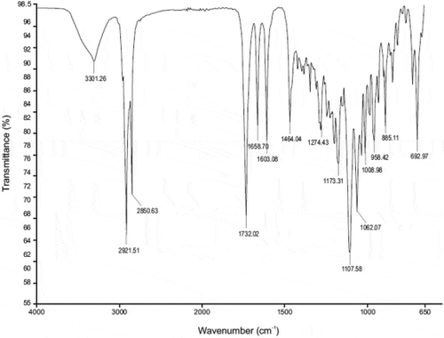 Figure 1. Infrared spectrum of CP in KBr.