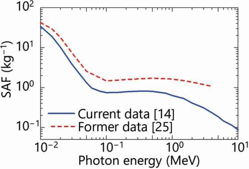 Figure 2. Photon SAFs to target cells in ET2 from surface of ET2. The solid curve and the broken curve indicate the current data [Citation14] and the previous data [Citation25], respectively.