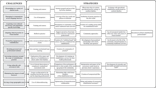 Figure 3. Overview of the challenges encountered and of the strategies identified