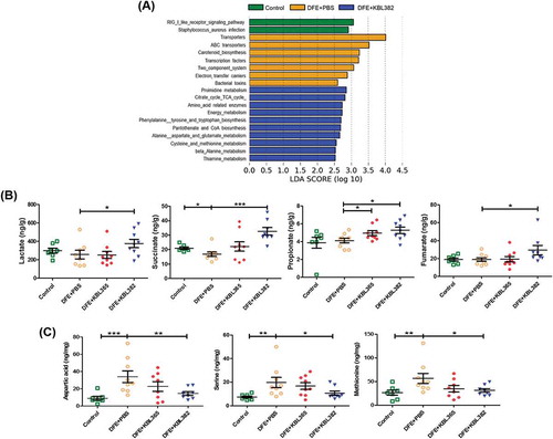 Figure 8. Effects of oral administration of L. rhamnosus KBL365 or L. paracasei KBL382 on cecal metabolites of AD mice. (A) Significant changes in functional profiles were suggested based on phylogenetic investigations of communities through reconstruction of unobserved data and LEfSe analyses with the Kyoto Encyclopedia of Genes and Genomes (KEGG) pathway database (LDA-score > 2.5). (B) Analyses of nonvolatile acids and short-chain fatty acid using gas chromatography. (C) Analyses of amino acids using ultra-performance liquid chromatography. Statistical analyses were performed using the Mann–Whitney U-test with no FDR correction for comparison with DFE+PBS mice (N= 7–9 mice per group). Error bars represent SEM. * P< .05; ** P< .01; *** P< .001.