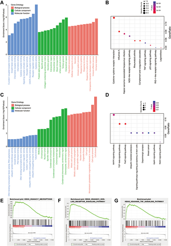 Figure 2 Function and mechanism analysis of altered expression of DEGs. (A) GO analysis of the up regulated DEGs. (B) KEGG pathway analysis of the up regulated DEGs. (C) GO analysis of the down regulated DEGs. (D) KEGG pathway analysis of the down regulated DEGs. The top-three most significant up-regulated enriched gene sets in the resistance subjects: NOD-like receptor signaling pathway (E), TNF signaling pathway (F), Necroptosis (G).