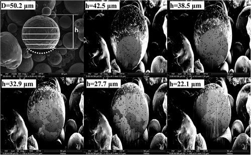 Fig. 2. Serially FIB-milled 50.2-μm-diameter gas-atomized GRCop-42 powder particle sectioned at height h showing uniformity of precipitate size over several sectioning heights.