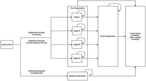 Figure 2. State-transition markov model based on the natural history of lung cancer.