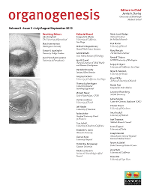 Cover image for Organogenesis, Volume 8, Issue 3, 2012